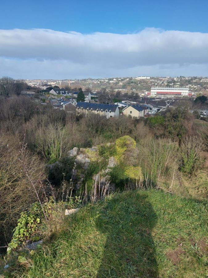 Blackrock Carole Ville Guesthouse Cork Exteriör bild