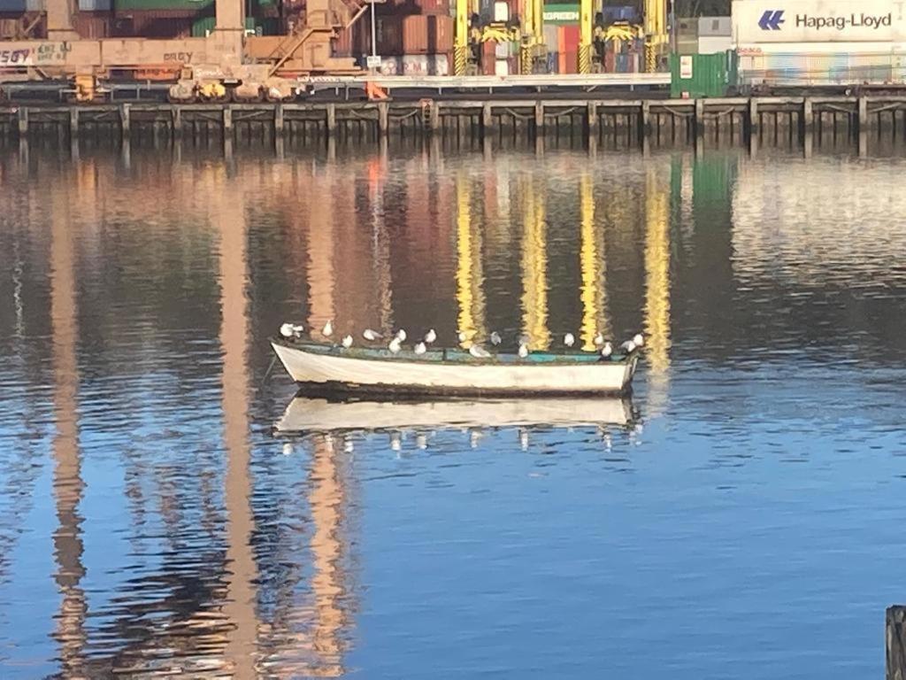 Blackrock Carole Ville Guesthouse Cork Exteriör bild