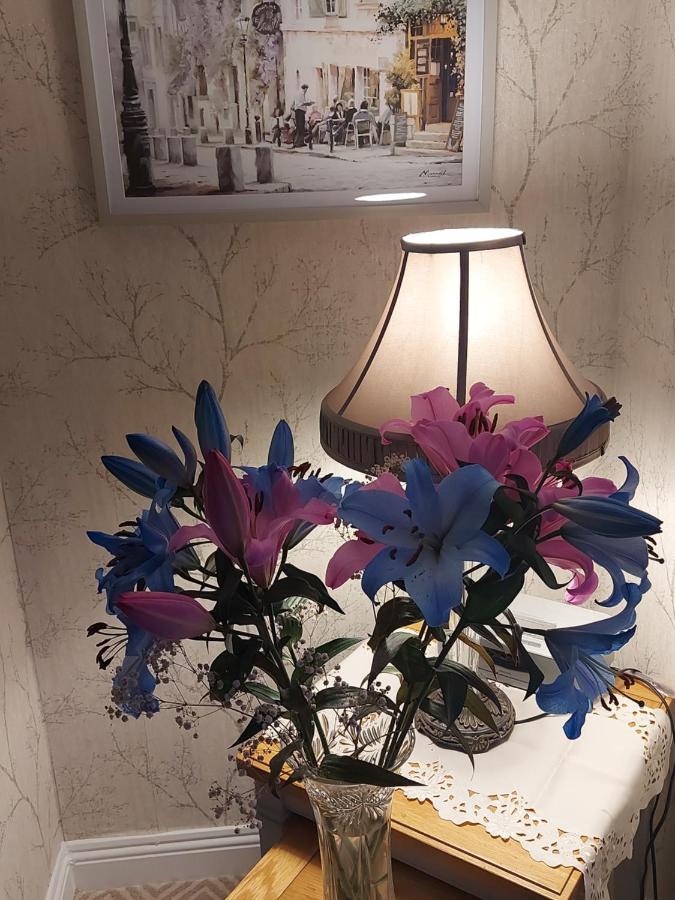 Blackrock Carole Ville Guesthouse Cork Exteriör bild