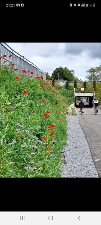 Blackrock Carole Ville Guesthouse Cork Exteriör bild